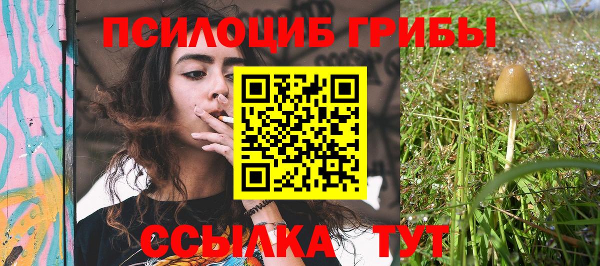 Галлюциногенные грибы мухоморы  Псилоцибиновые грибы Psilocybe  продажа наркотиков  Красногорск 