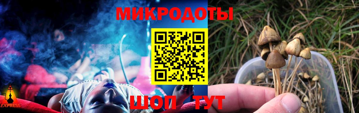 Галлюциногенные грибы Magic Shrooms  Вход с VPN  Псилоцибиновые грибы мухоморы  Красногорск 